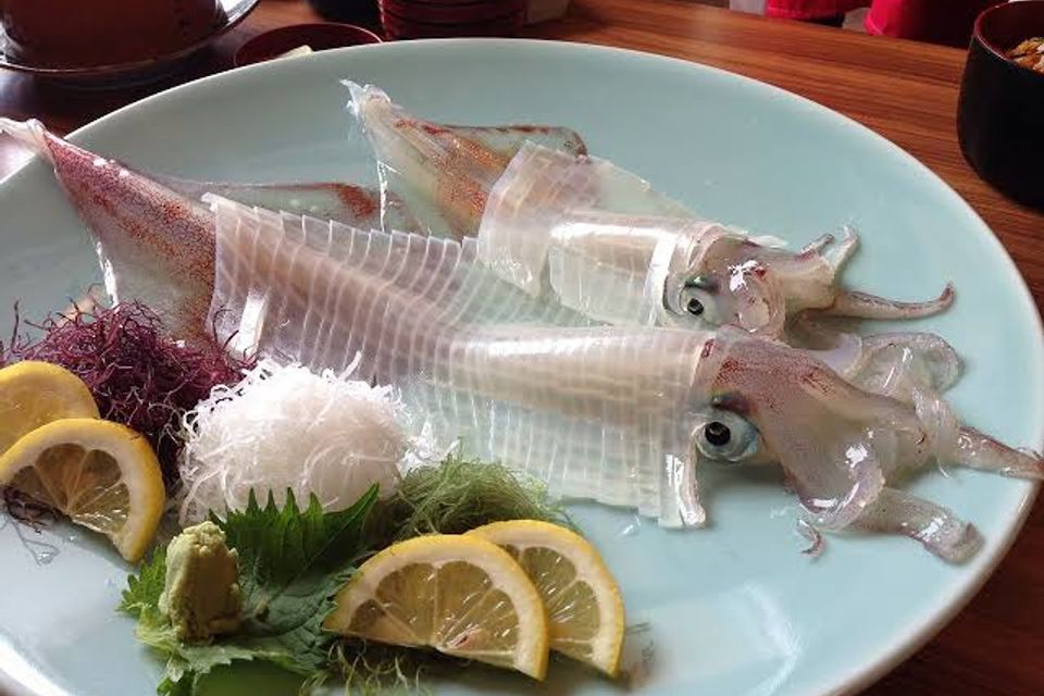New squid