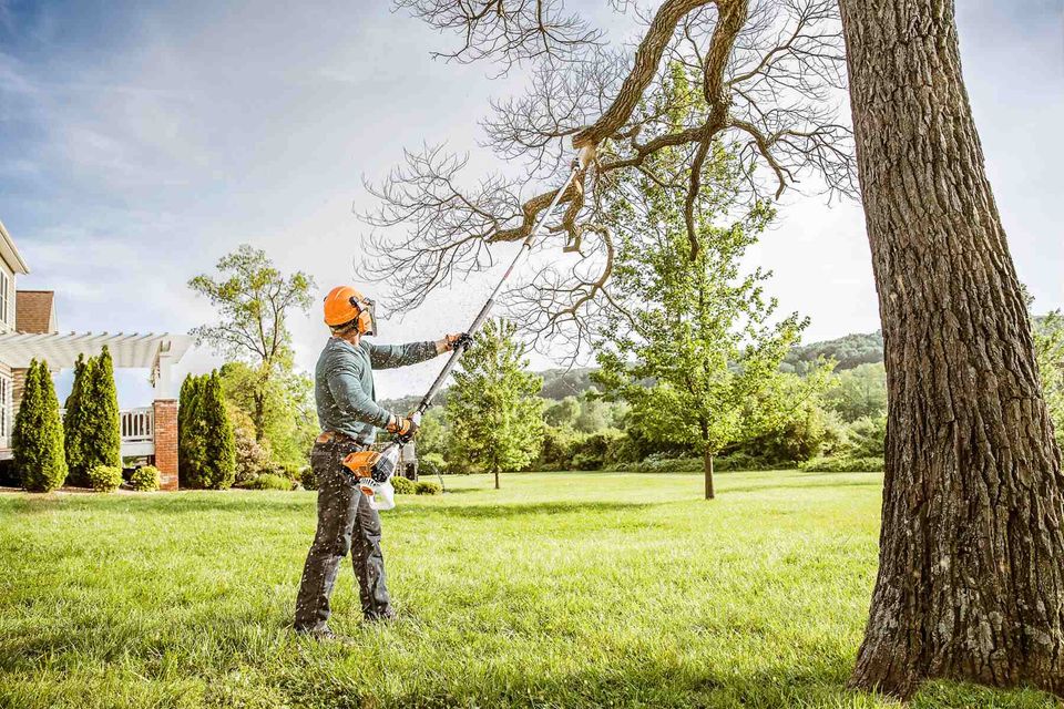 Tree trimming from ground