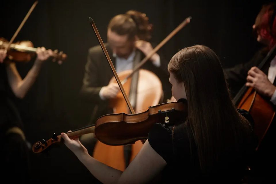 Vistacreate 737258580 stock photo rear view unrecognizable female violin player shadow performing classical music (1)