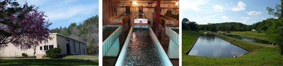 Hatchery pictures horizonatal