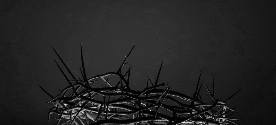 Crown of thorns g1e905a32e 1920