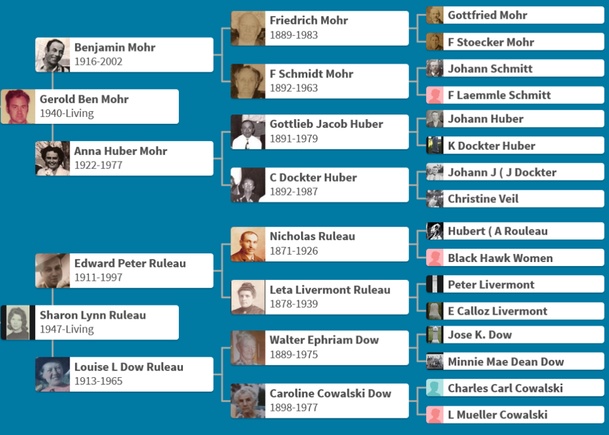 Family chart