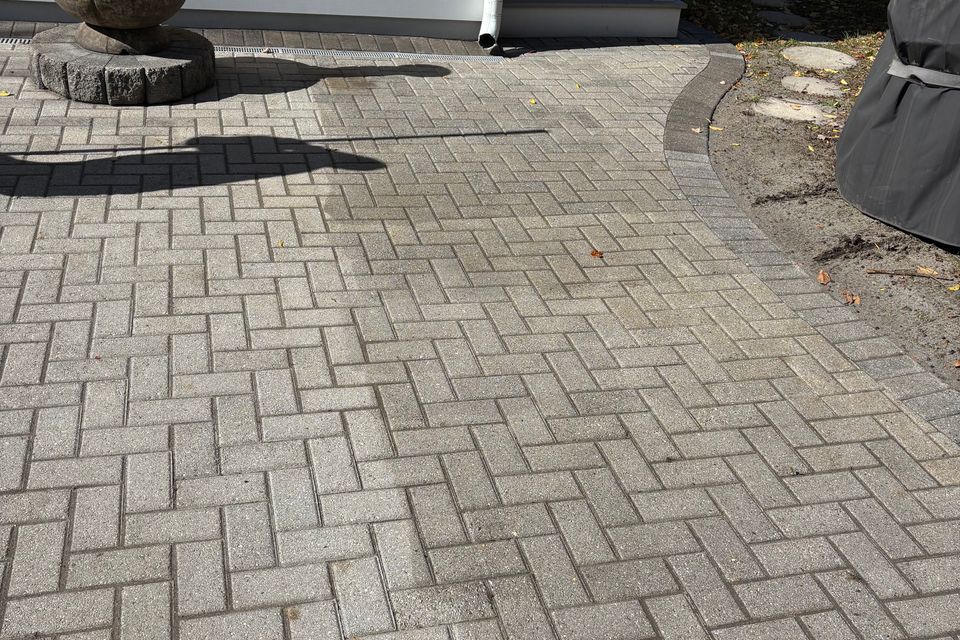Img 1782