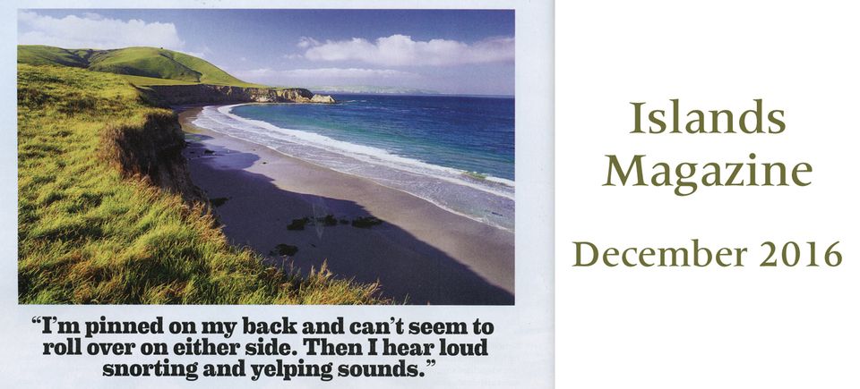 Islands magazine 2016 website 220161128 32464 1xtmx4m