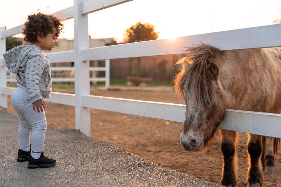Kids Pony Parties