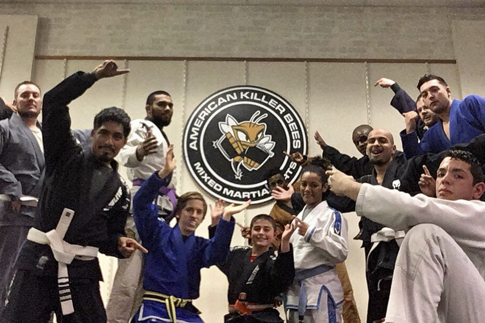 Killer bees mixed martial arts
