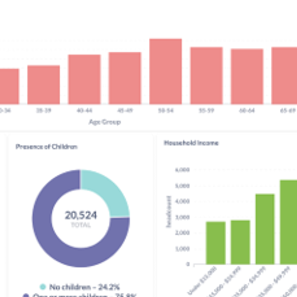 Prelaunch audience insight reports pic