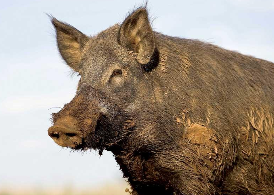 Screenshot 2026 02 23 at 11.04.28 am