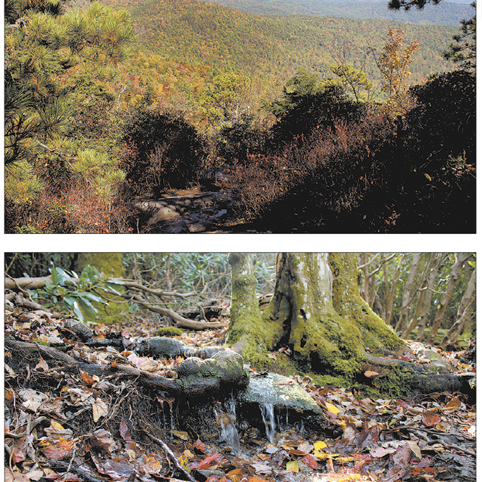 Mountain3