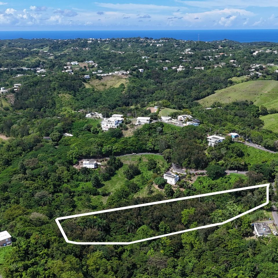 Dji 20251017133440 0889 d 4