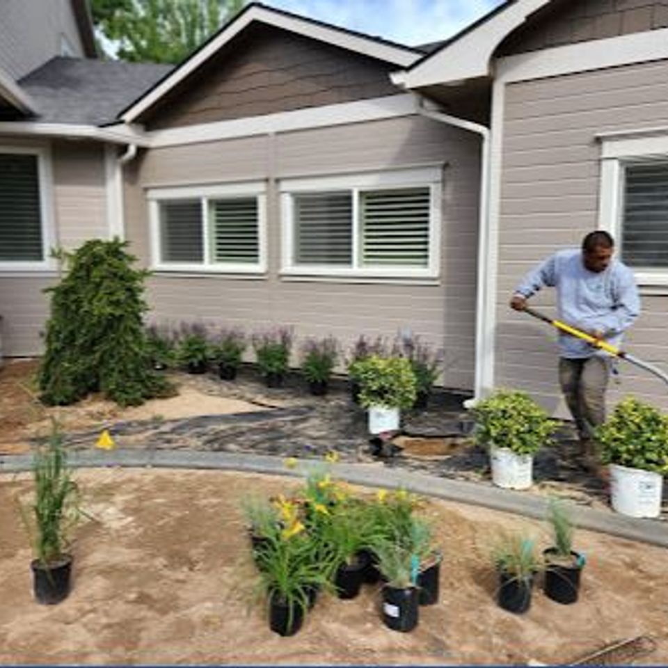 Artistree landscaping