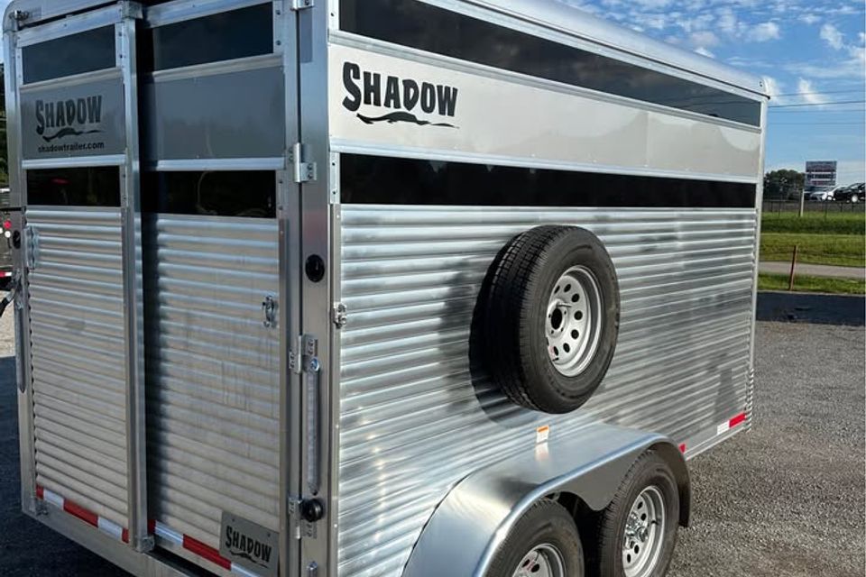 655159420 26960306676905226 7825201266171430729 n