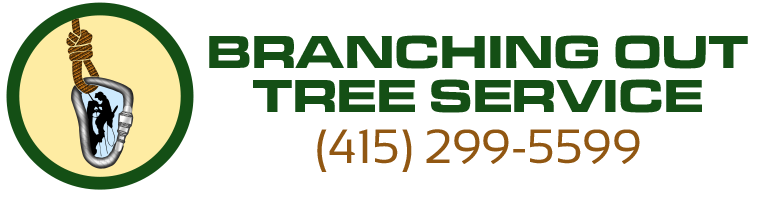 Branching Out Tree Service