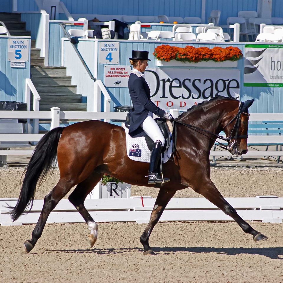 Dressage at devon