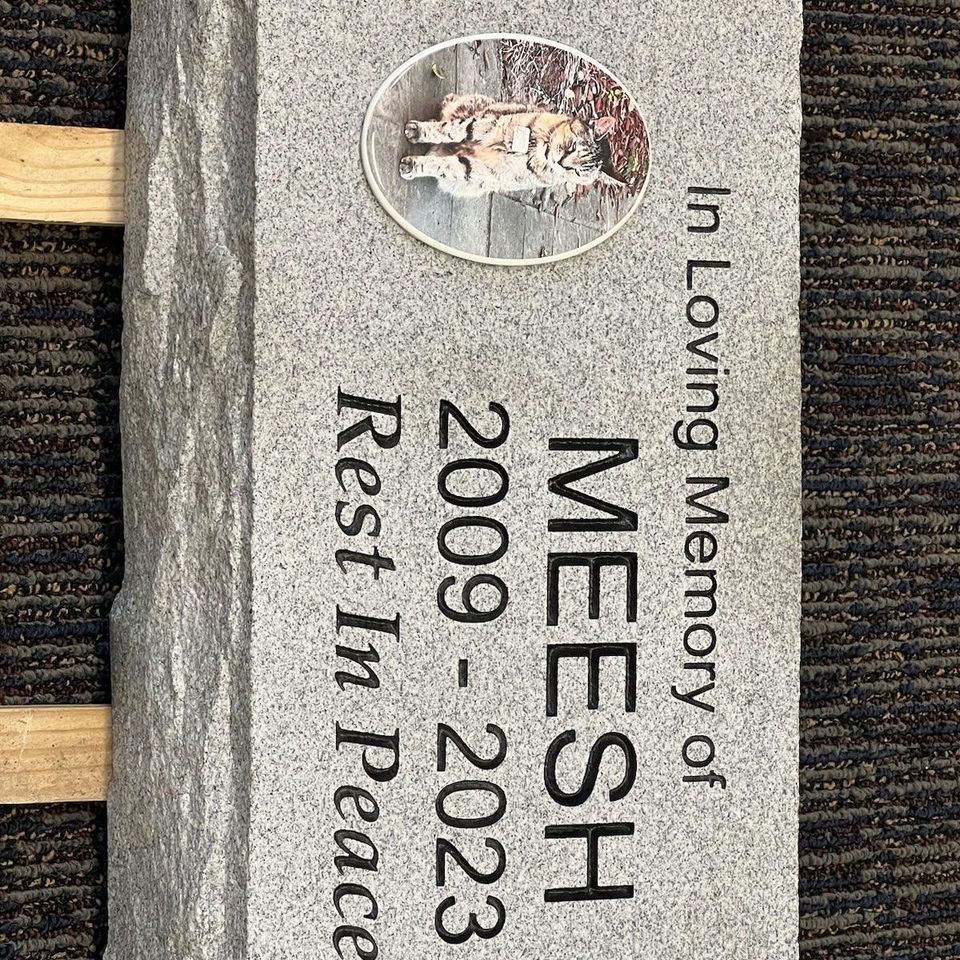 Complted stone meesh
