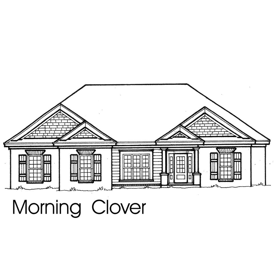 Morning clover20170728 26638 17n8iuz