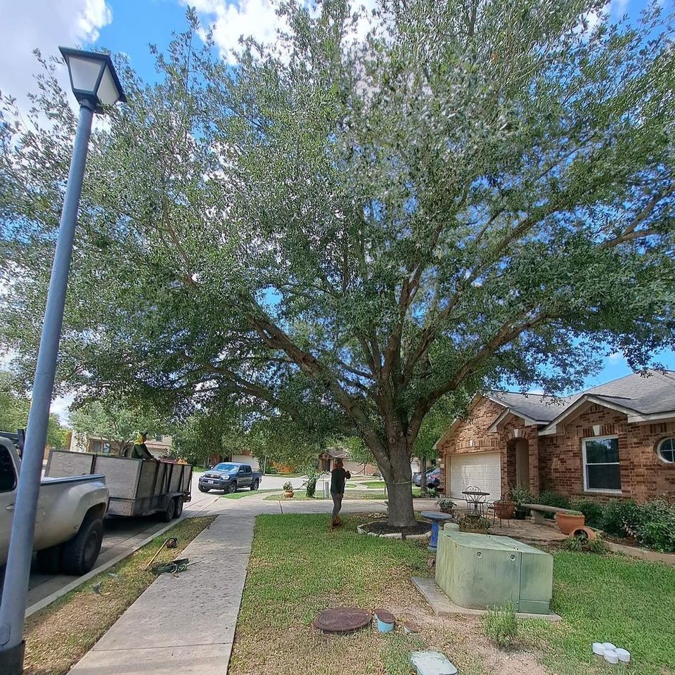 Highland Lake Tree Service 