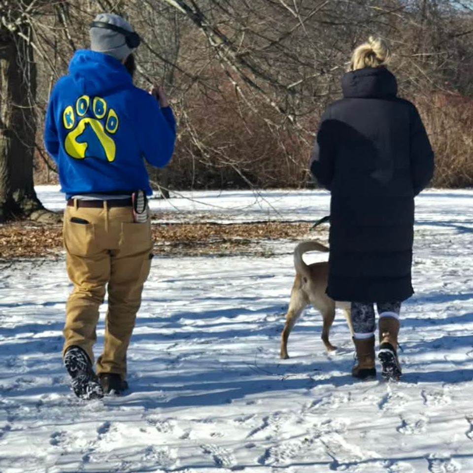 Messenger creation e3a93216 396c 48e2 97ea 077002783957