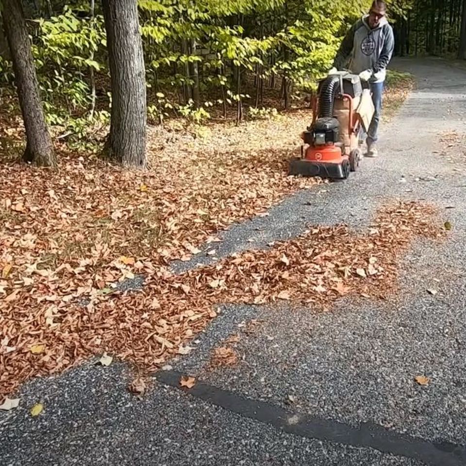 Img 5313