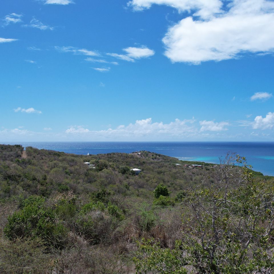 Dji 00441