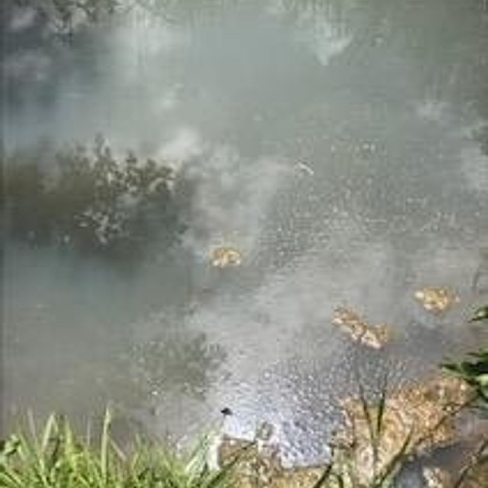 Image1