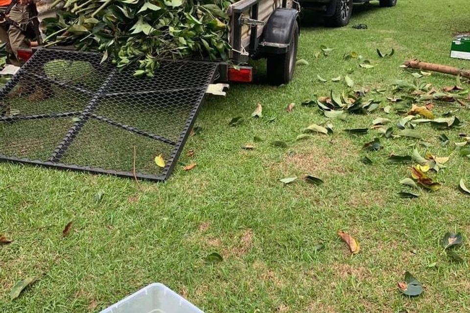Img 1381