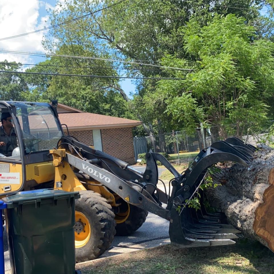 469651014 1492024811460991 3788369633134521850 n