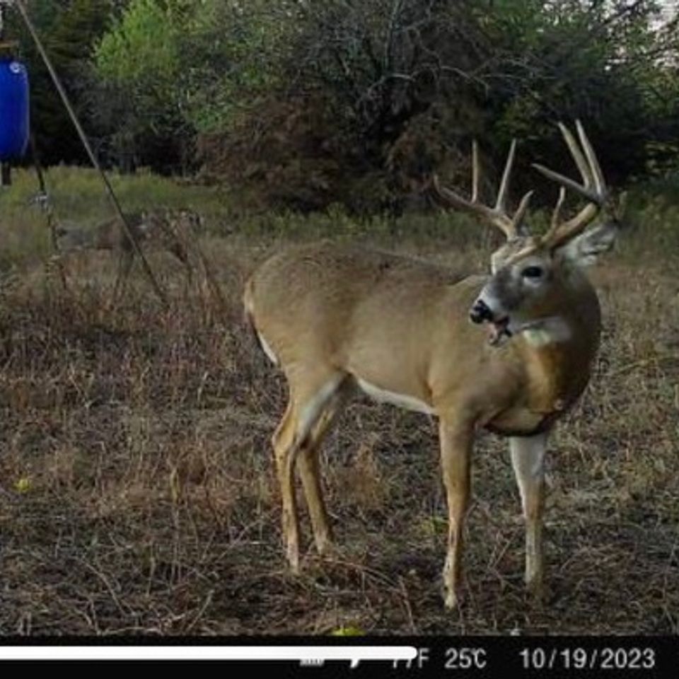 Img 5922