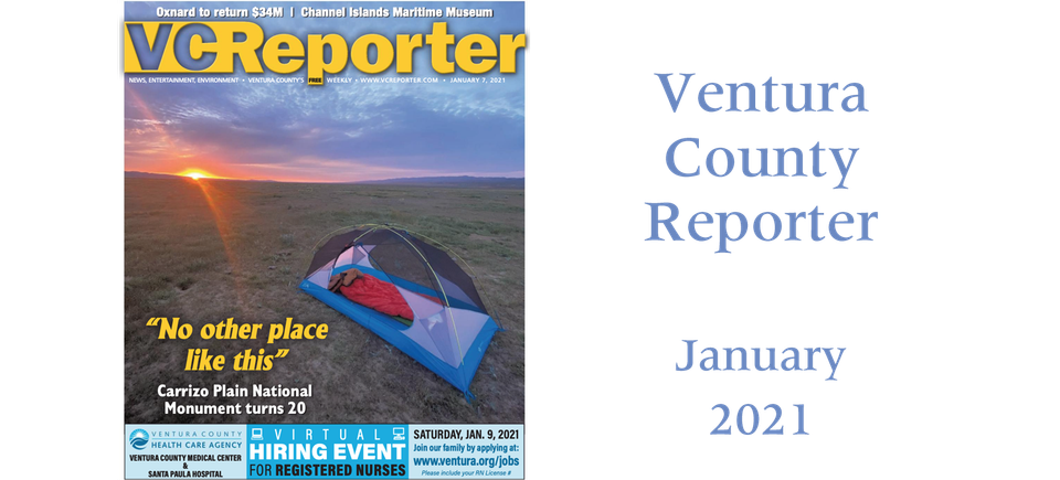 Vc reporter january 2021