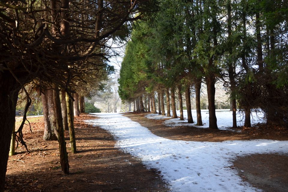 Friends of emerson health ryan quiet alignment