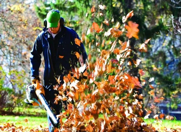 Home leaf blower test