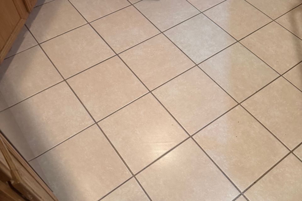 Img 3056   vince traylor