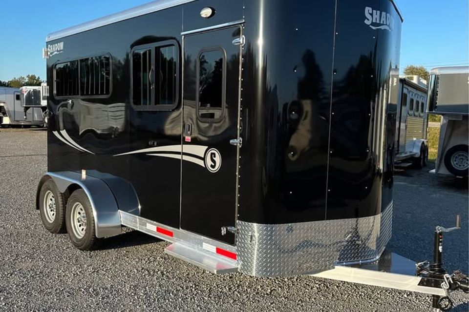 556017040 25363102366625673 2222714066301534173 n