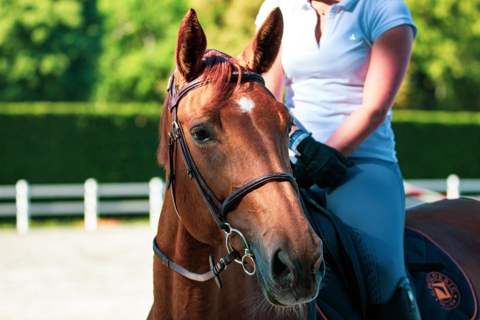 horse riding course