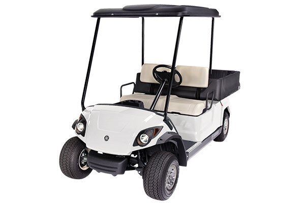 Adv hauler golf carts chattanooga