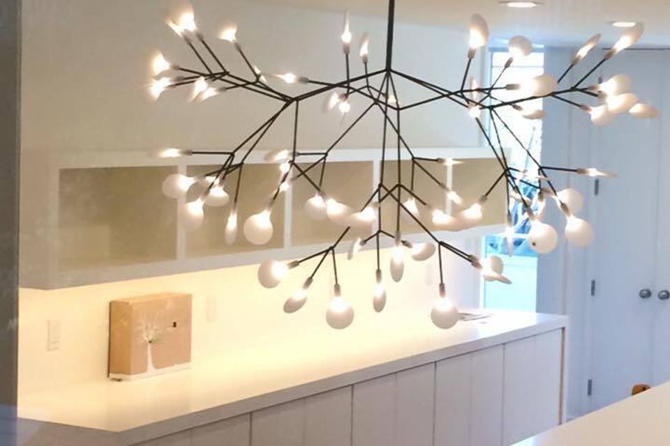 1915113 961738987225387 8739170856448441970 n