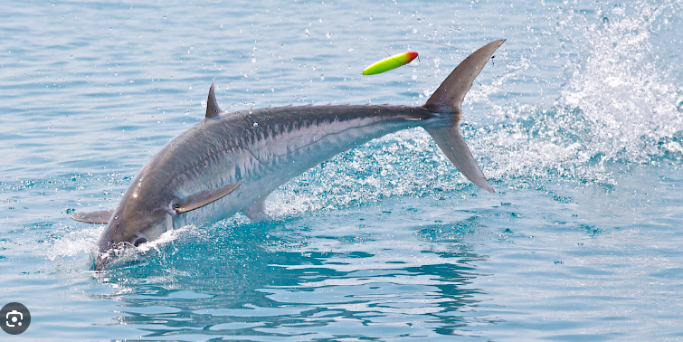 Screenshot 2026 02 24 at 10.27.15 am