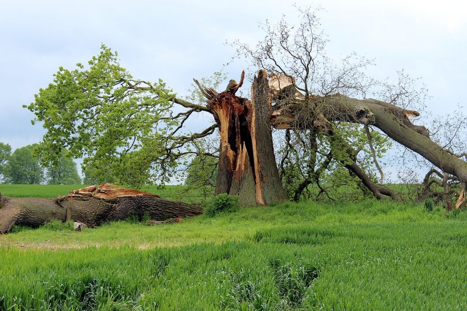 Storm damage g990b17dbc 1920