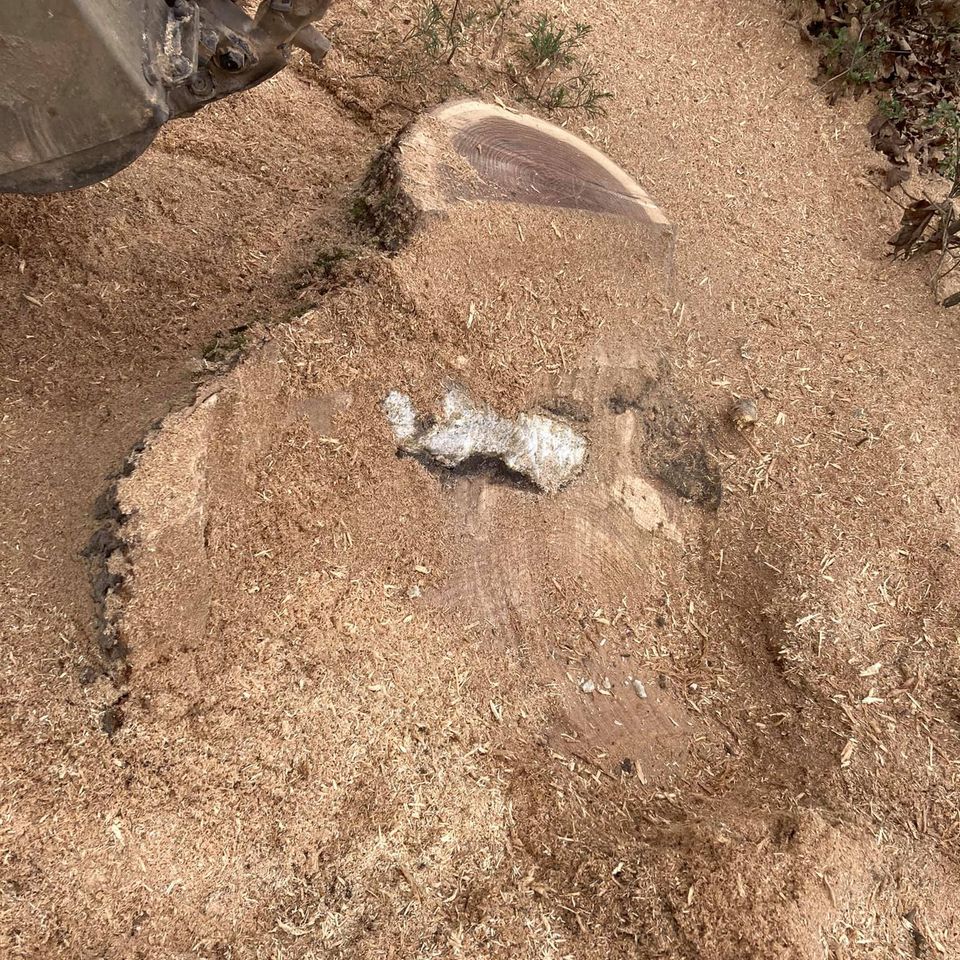 143027822 108578401225566 1427684948562846886 n