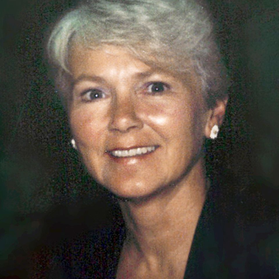 Viola stout