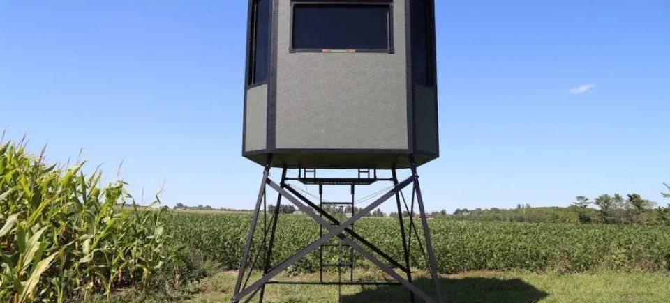 Img 2339 copy 1024x683