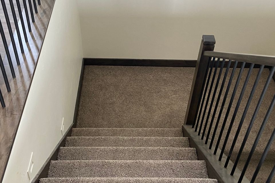 Img 0633