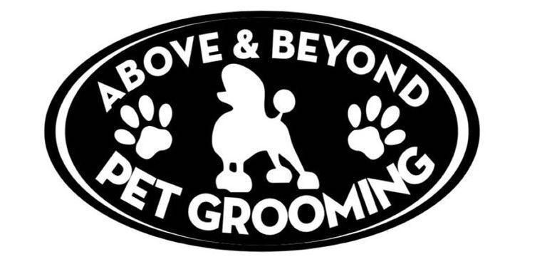 Above & Beyond Pet Grooming