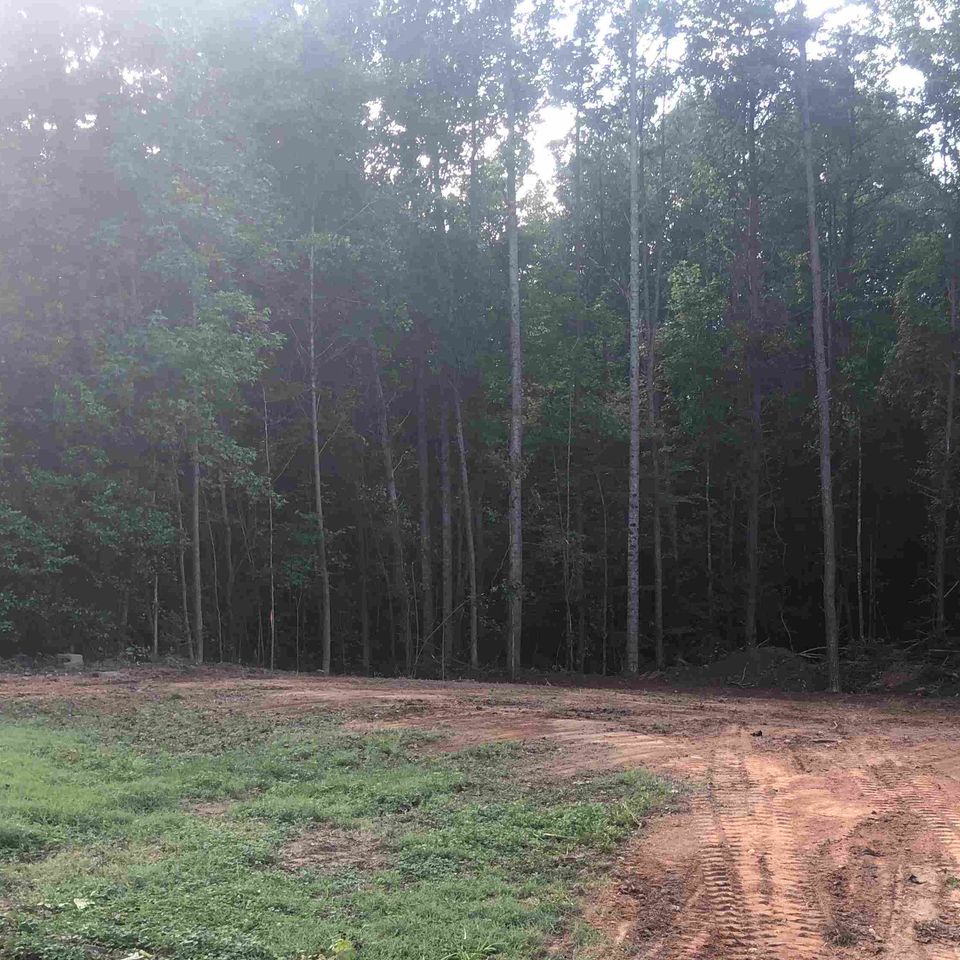 Land clearing4