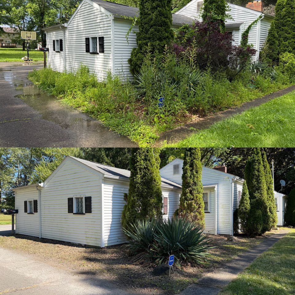 771bc481 ddf2 4c1d 9a8f 6b8cfdb42ca0