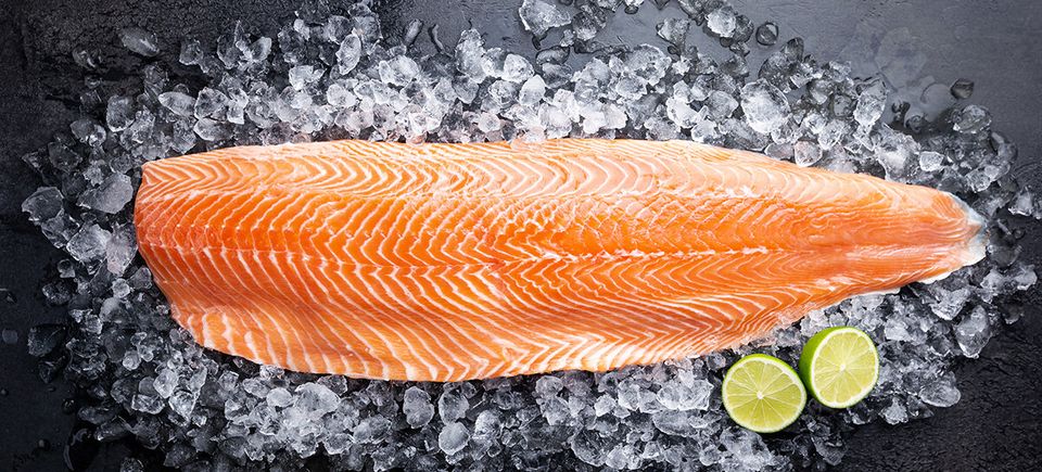 Salmon fillet with ice and lime