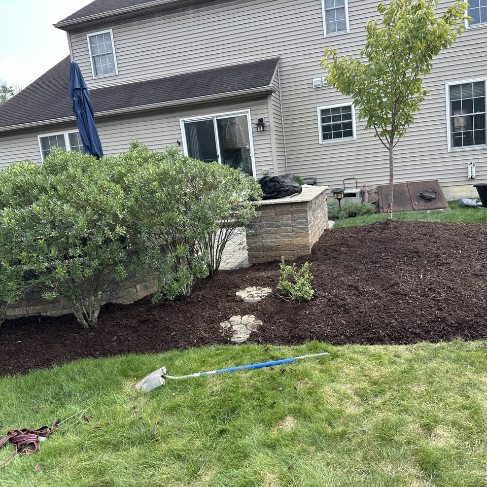 Img 1108 jacob johns