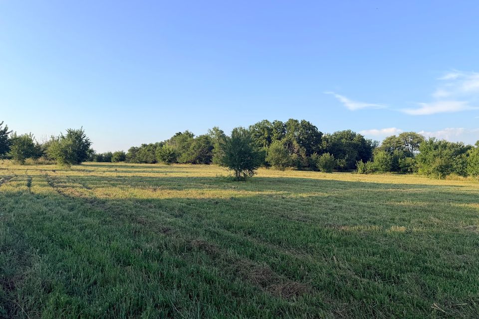Went 72 23 field looking northeast