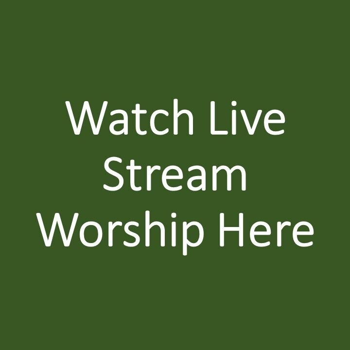 Watch live stream worship here  green