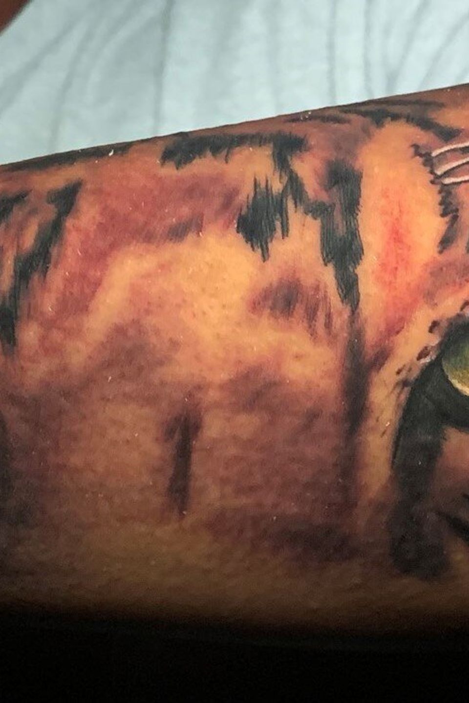 Tech eye of tiger